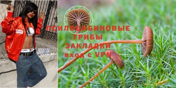 прущий лед Армянск