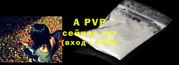 Альфа ПВП Осинники