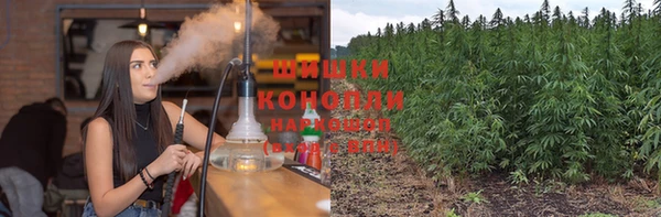 прущая мука Арсеньев