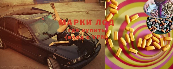прущая мука Арсеньев